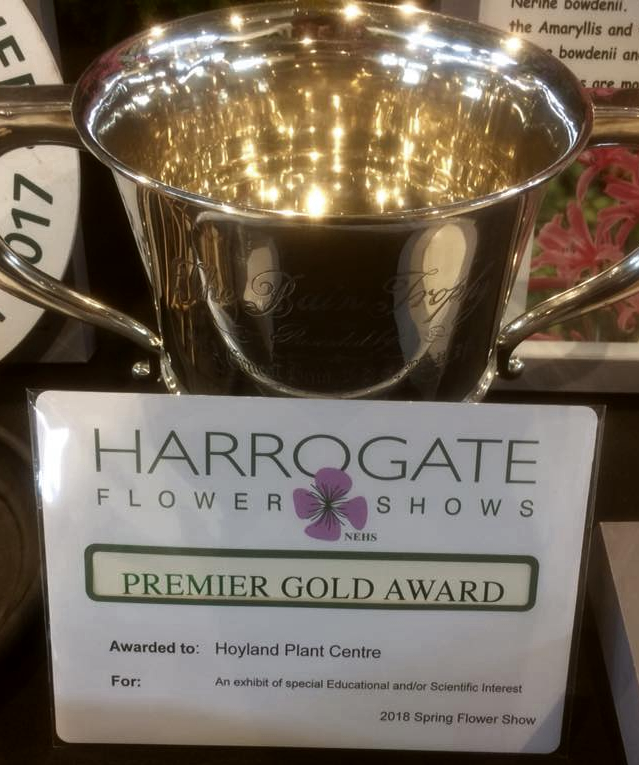 Harrogate Spring Flower Show 2018