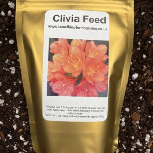 AMAZING Clivia Feed