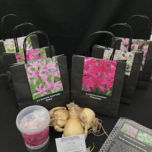 Ultimate Bulb Bundle