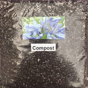 Agapanthus Compost (3 Litre)