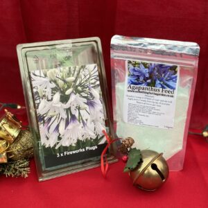 Feed & Plug Plants Gift Set